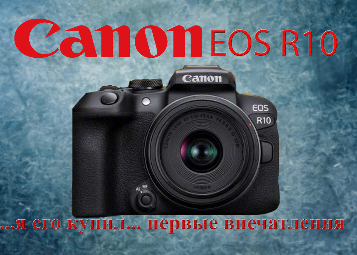 Canon EOS R10. Я купил его!!! Впечатления после первой съемки. | Пленка и  цифра I фотограф Дмитрий Копытин | Дзен