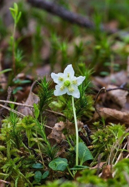 Добавьте описание
