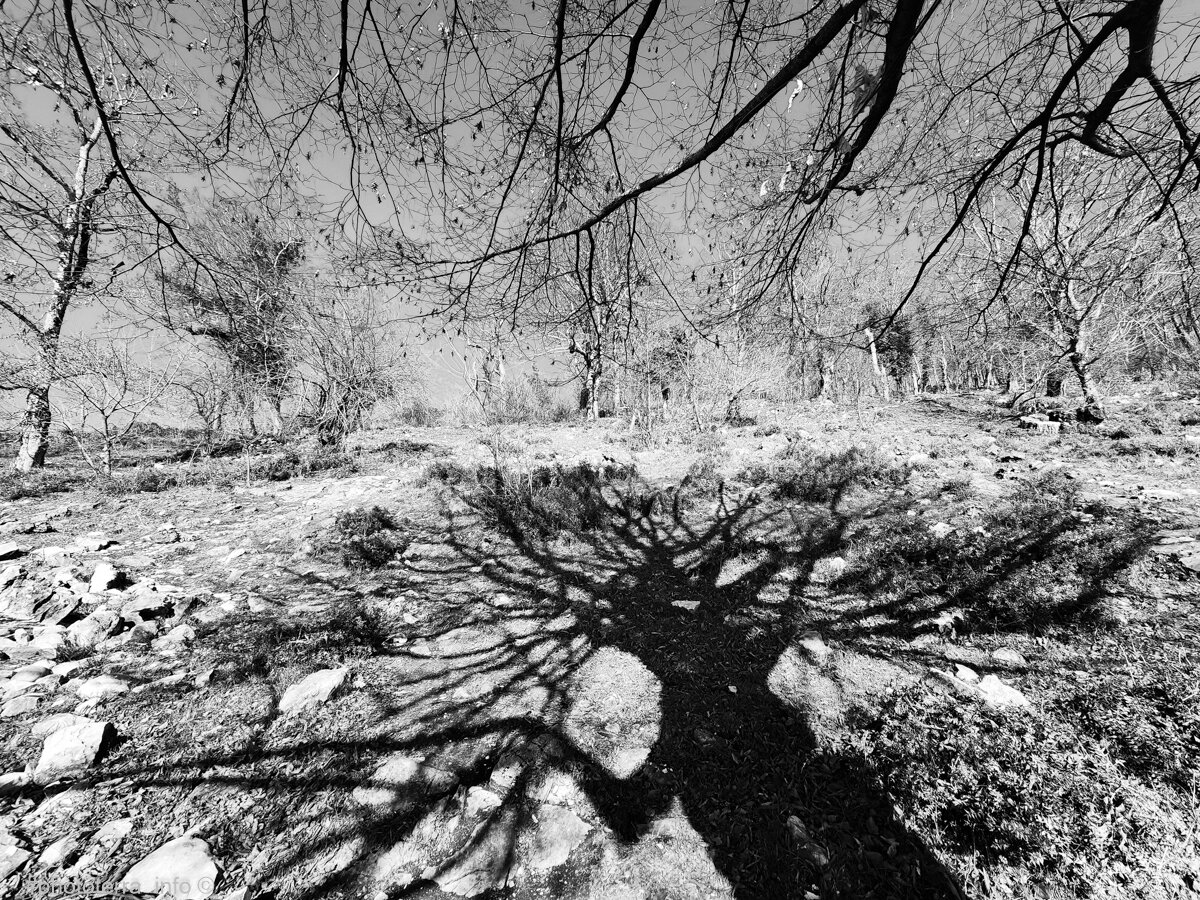 Гилофобия. Концептуальная фотосерия "тени Нового Афона" Фото: Корчагина Татьяна