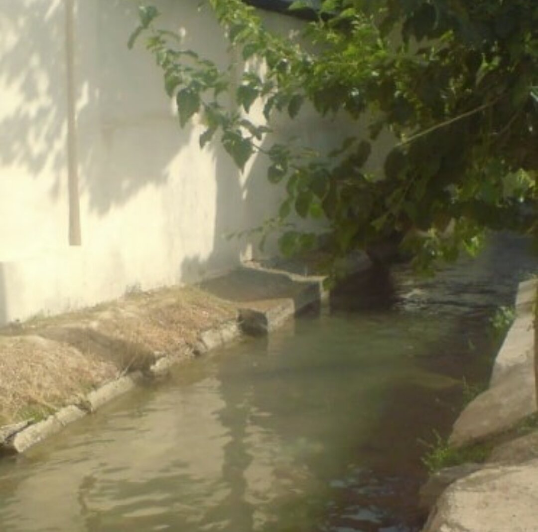 Фотография добавлена из открытых источников интернета 