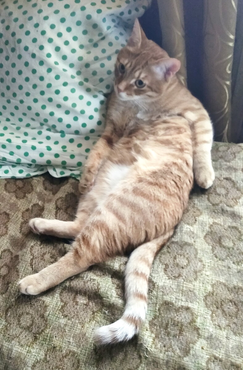 Личное  фото.  

