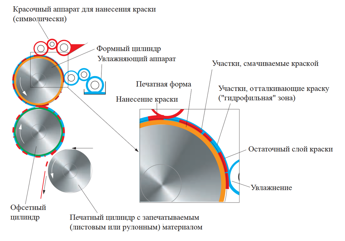 Сигнальный образец в полиграфии что это