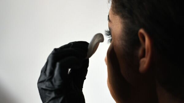    © Sputnik / Павел Бедняков