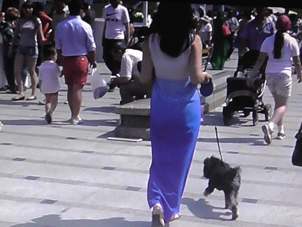 Мы существуем рядом - животные и люди. Фото из личного архива