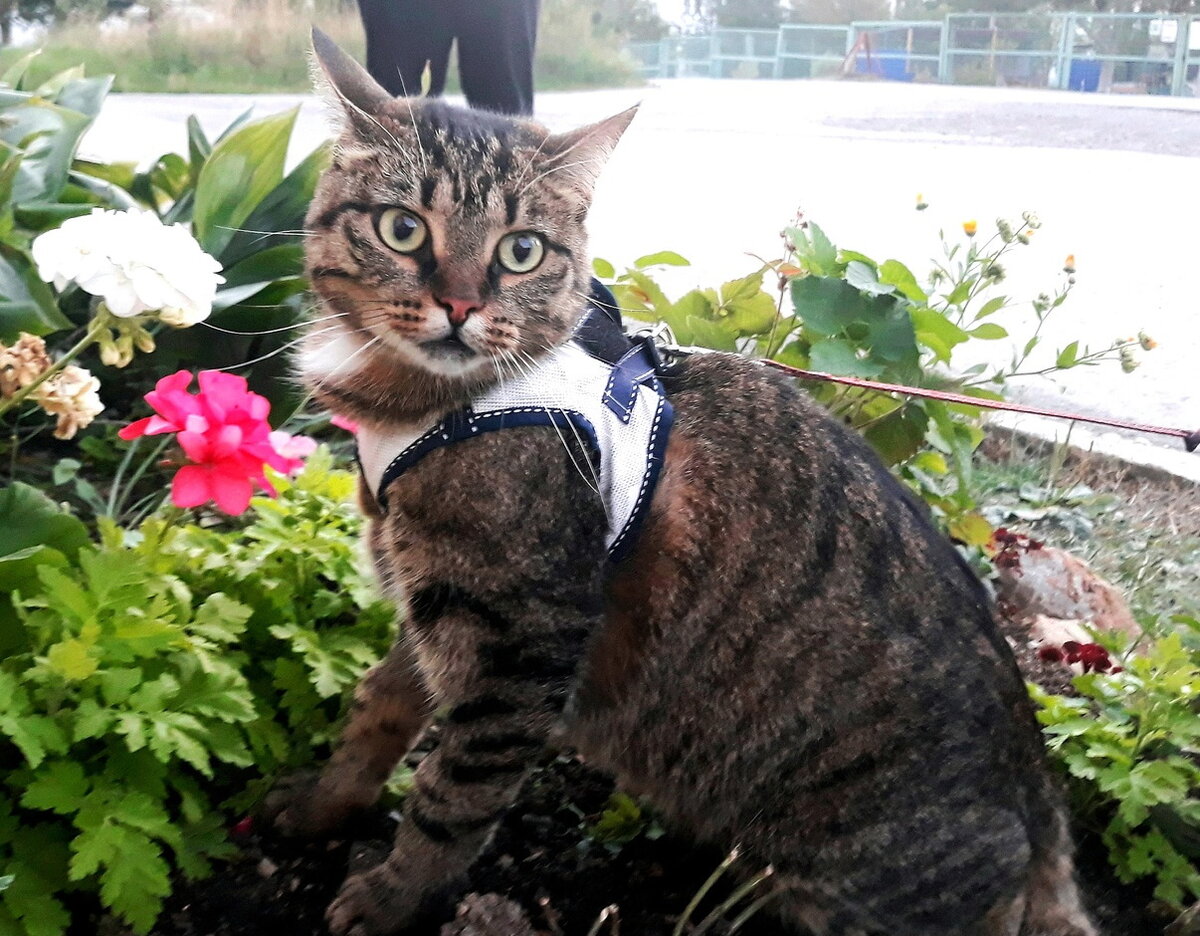 Василиса была обескуражена настойчивым вниманием рыжего кавалера. Глаза на лоб)