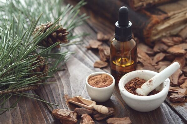 Экстракт сосновой коры богат полифенолами. (chamillew/Adobe Stock)