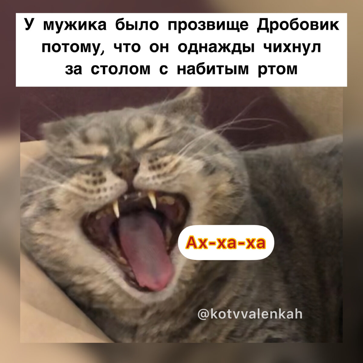 Вот это ситуация 😹😹😹