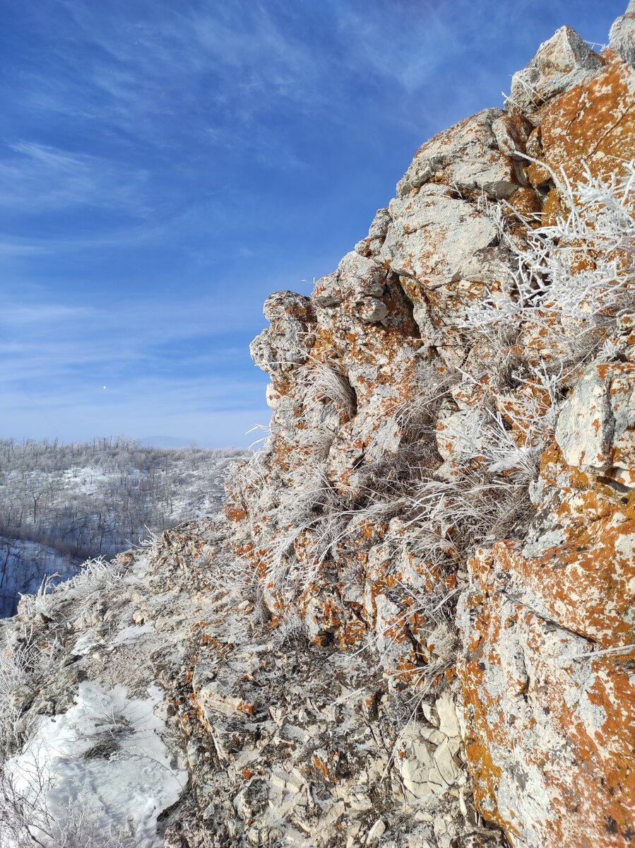 Гора шишка Самарская область