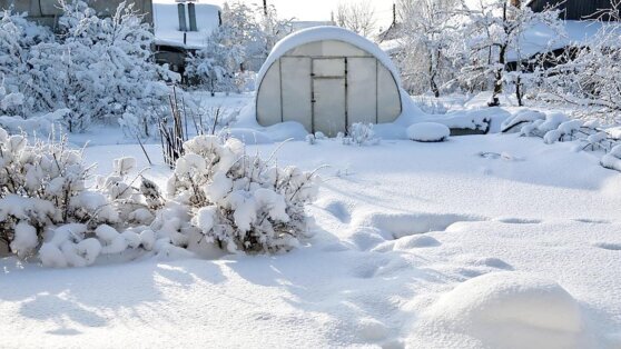    Дачные работы в феврале: что сделать на садовом участке Ирина Петрова