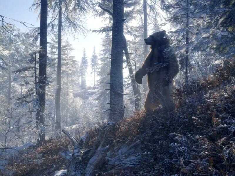 Хранилище времени затерянная глушь. Медведь в тайге. Медведь зимой в лесу. Медведь в лесу. Тайга глушь.