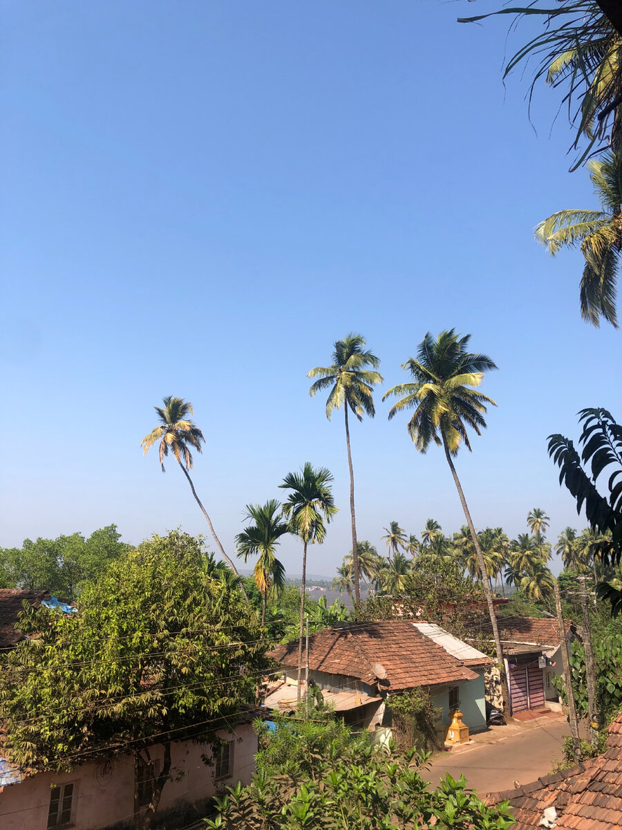 Чапора. Северный Гоа