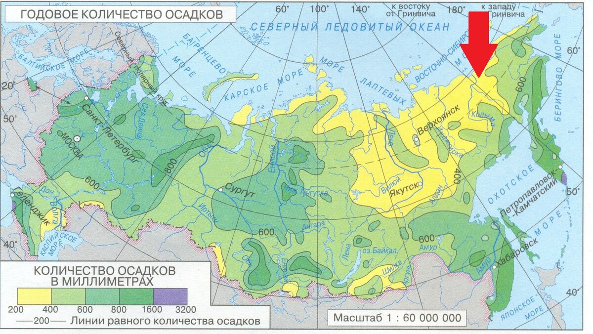 Для парка выбрано сравнительно сухое место - там меньше снега зимой