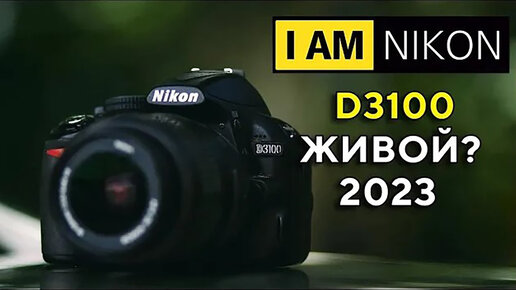 Nikon D3100 Обзор в 2023 Пойдет?