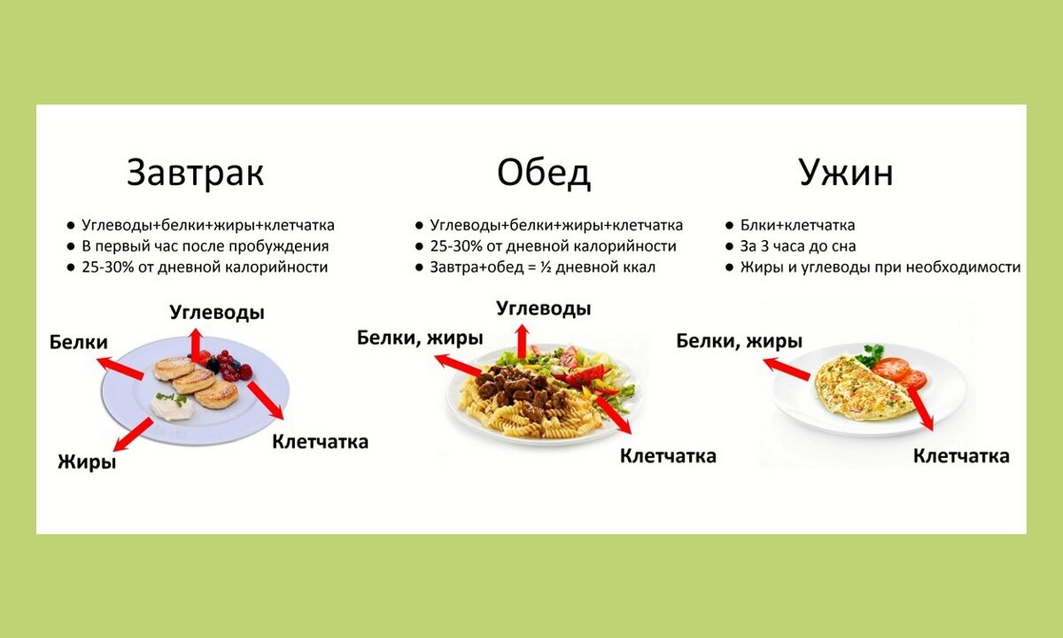 Что есть когда. Обед при ПП правильном питании БЖУ. Схема ПП питания. Схема питания белки жиры углеводы. Белки жиры углеводы соотношение правильное питание.