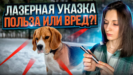 После просмотра этого видео Вы навсегда откажитесь от игры с лазерной указкой 🙀