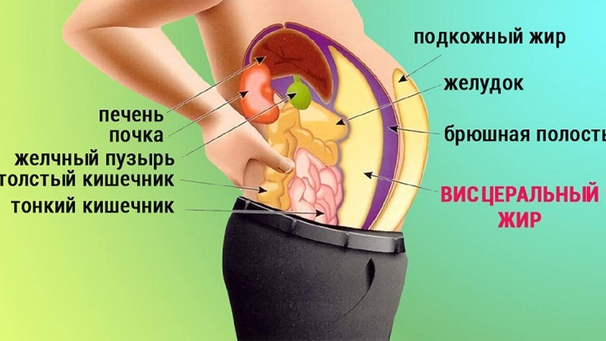 Болит в животе – основные причины синдрома и первая помощь — клиника «Добробут»