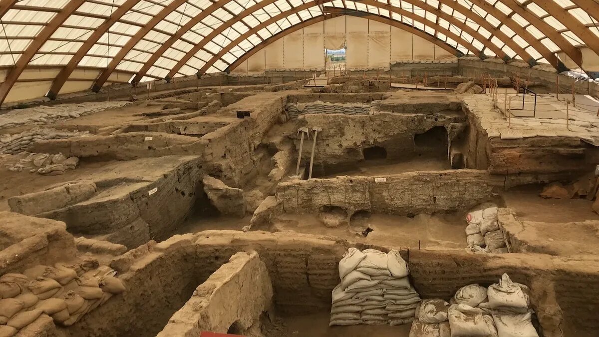 Фото: pexels.com