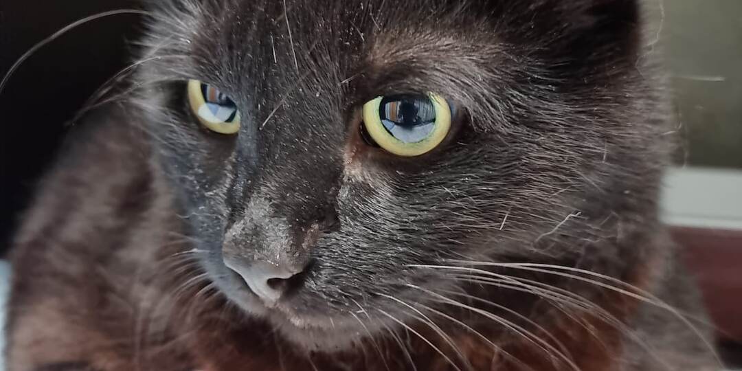 Он спас мне жизнь.