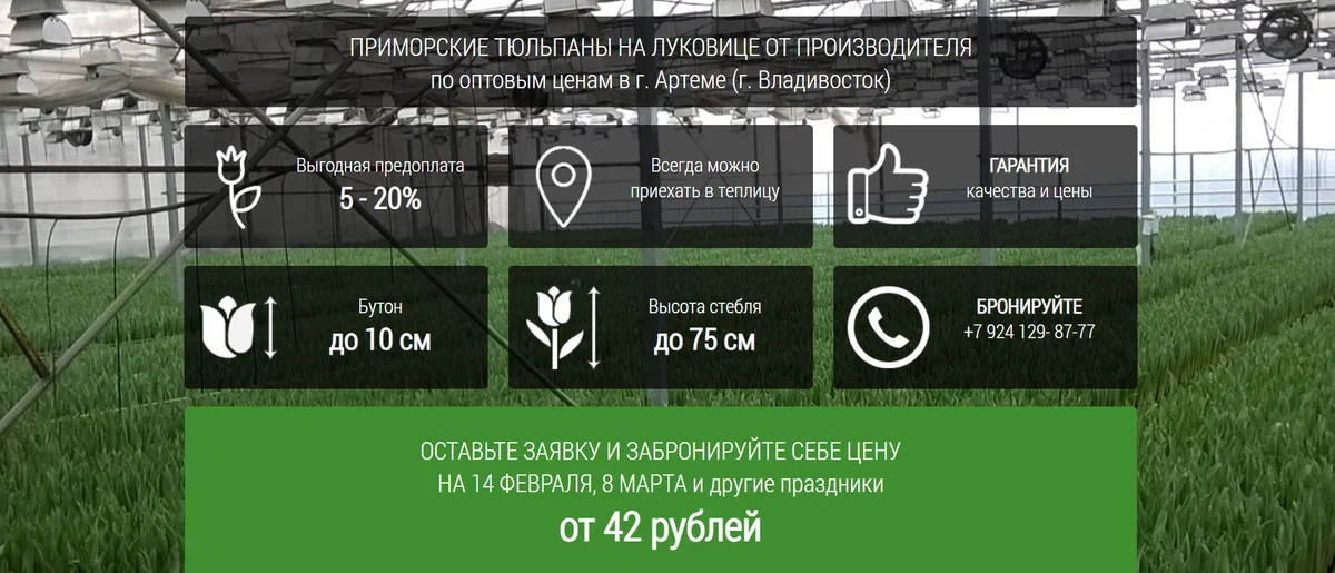 "ЛПХ Суражевский"