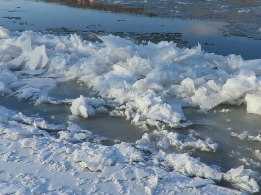    // Фото: rostov-gorod.ru