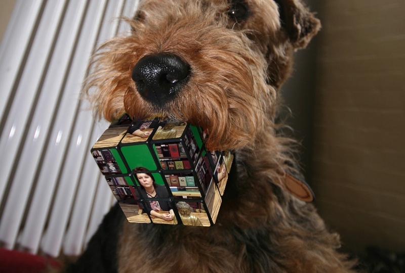 Глава 6. Кто про что страдает