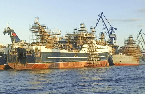 Фото: avatars.dzeninfra.ru 
