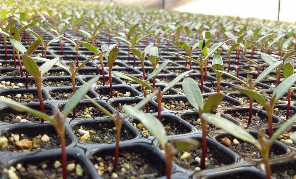 Фото: pixabay.com