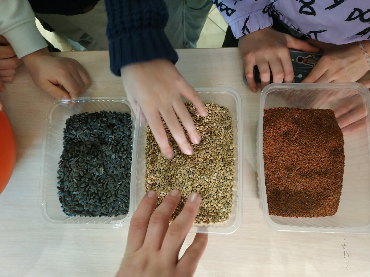 Контейнеры с семенами подсолнечника, гречки и др. (листайте).