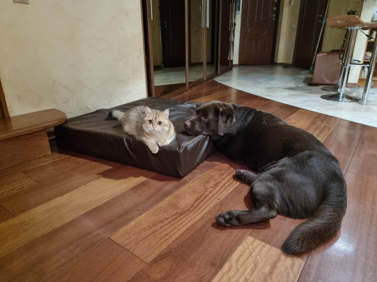 Фото наших друзей: Маркуша и Зяма