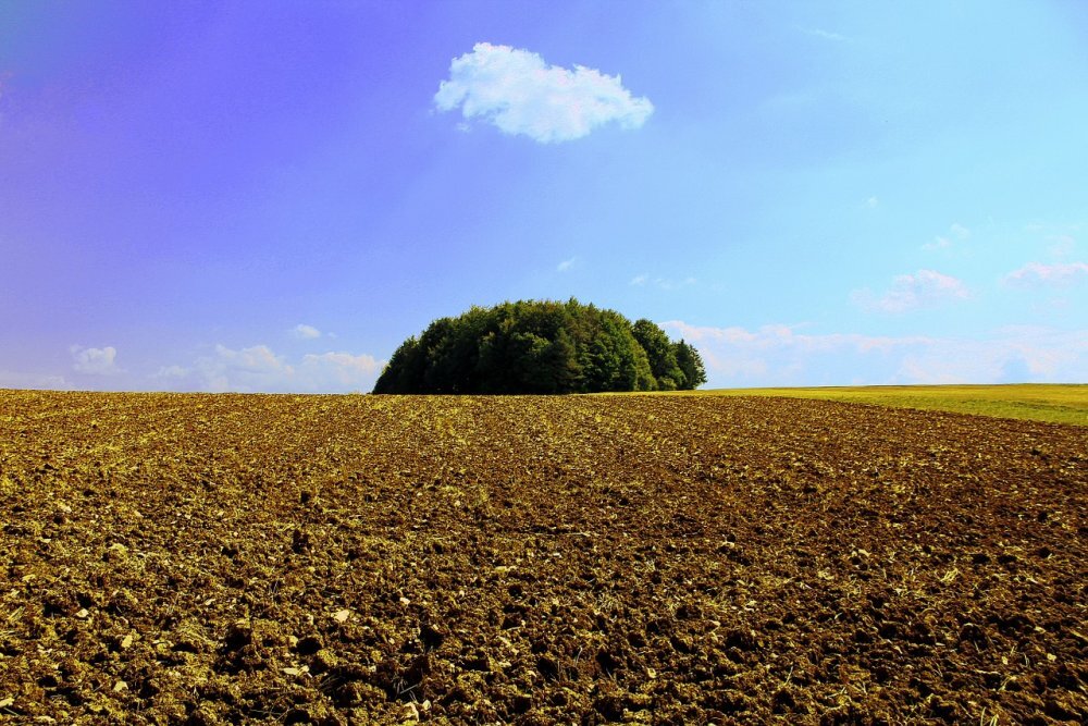 Фото: открытый и бесплатный источник Яндекс Картинки