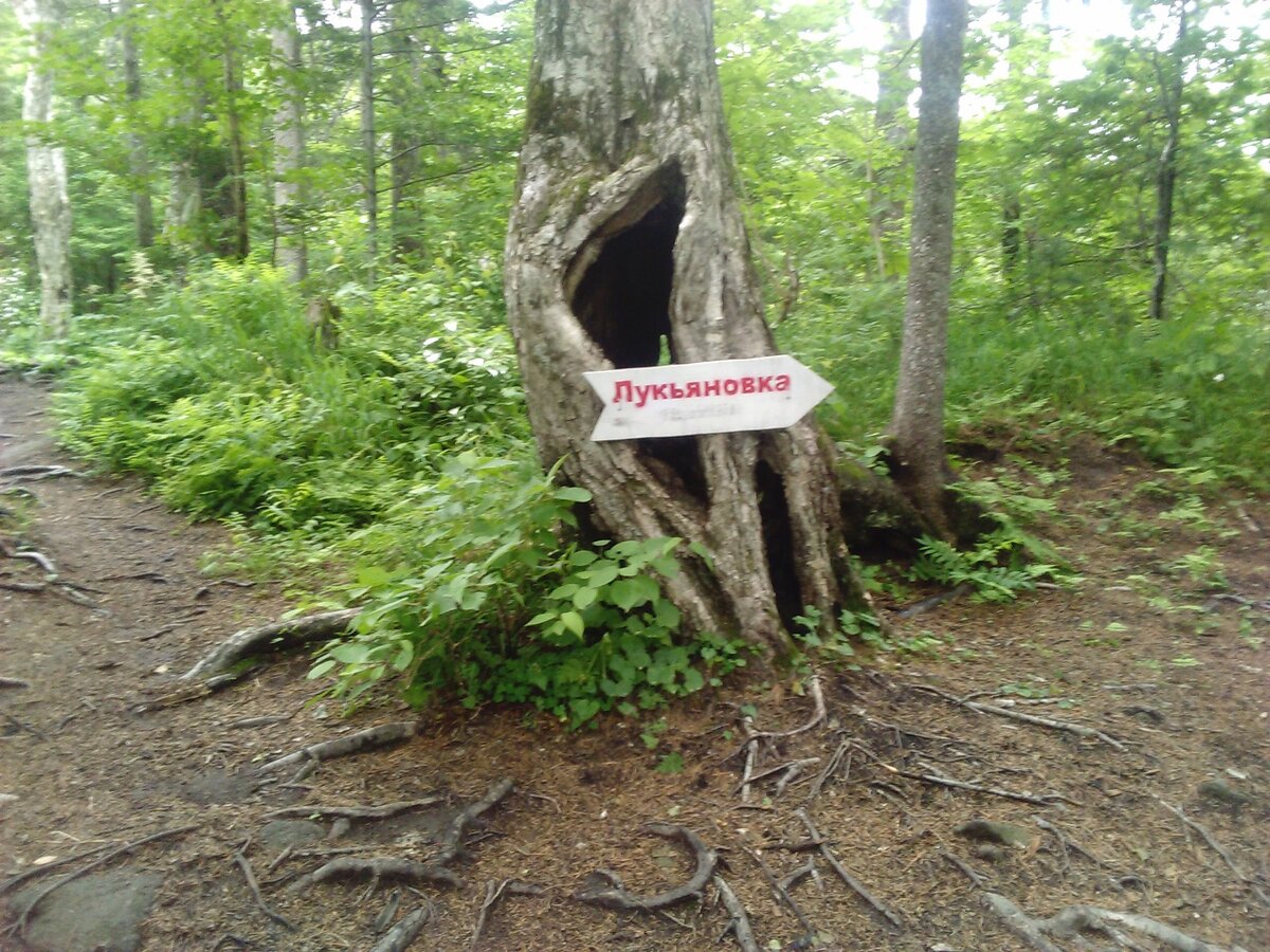Указатель.Местная достопримечательность.