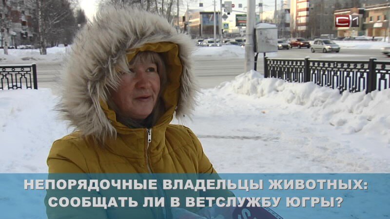   В Югре за сообщения о неправильном содержании животных будут поощрять