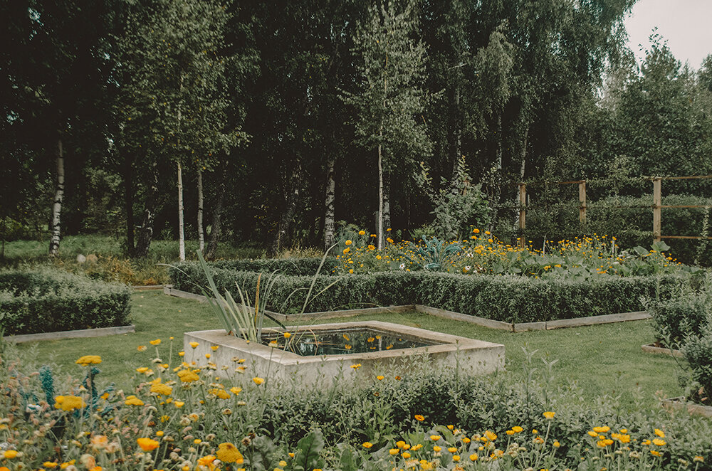 Бетонный пруд в центре овощных блоков, на заднем плане зона с диким лужком для привлечения полезных насекомых. Весной в ней вырастают нарциссы.