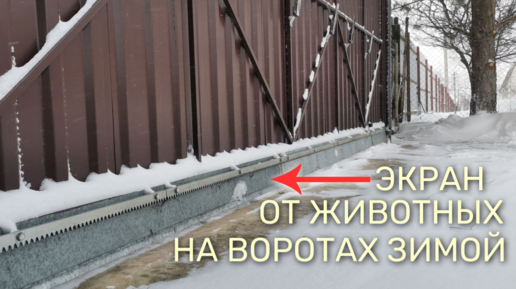 Что происходит с экраном от животных на щель под воротами зимой ...