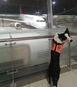    Фото: ufa1.ru Мария Спиридонова