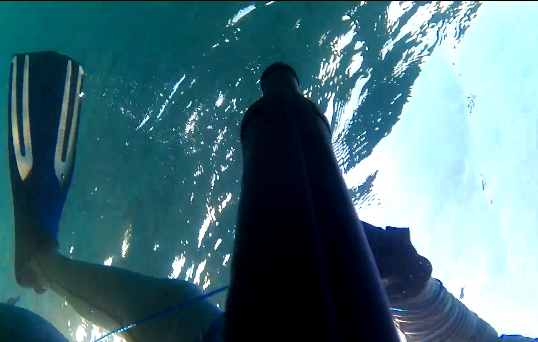 Охотник под водой. SunTravel (с)