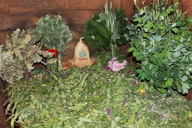 Душистая трава для бани 6. Травяной веник "мята". Веник из трав. Душистая трава для бани 6. Душистая трава для бани 6.