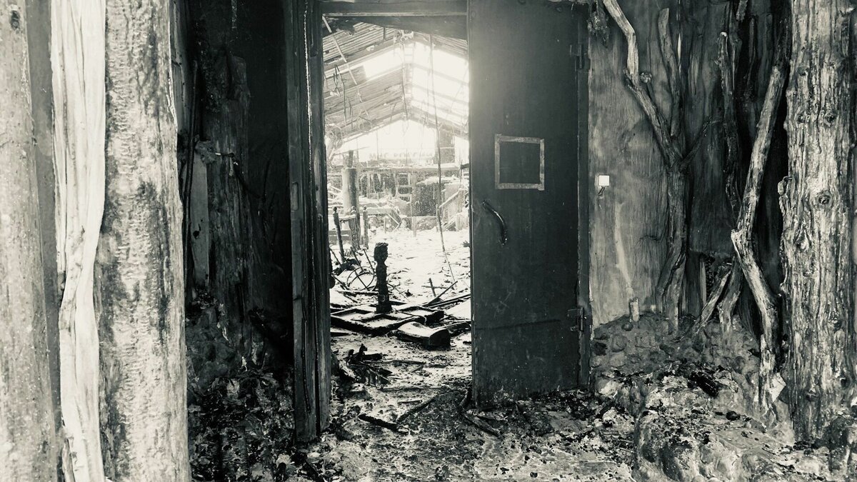     Отходы загорелись на территории крупного мусорного полигона во Владивостоке. Пожар охватил площадь в 500 квадратных метров — на место прибыли сотрудники МЧС.