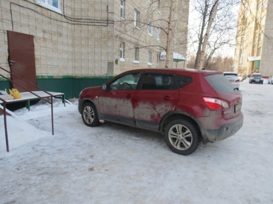     Фото: УМВД России по Томской области