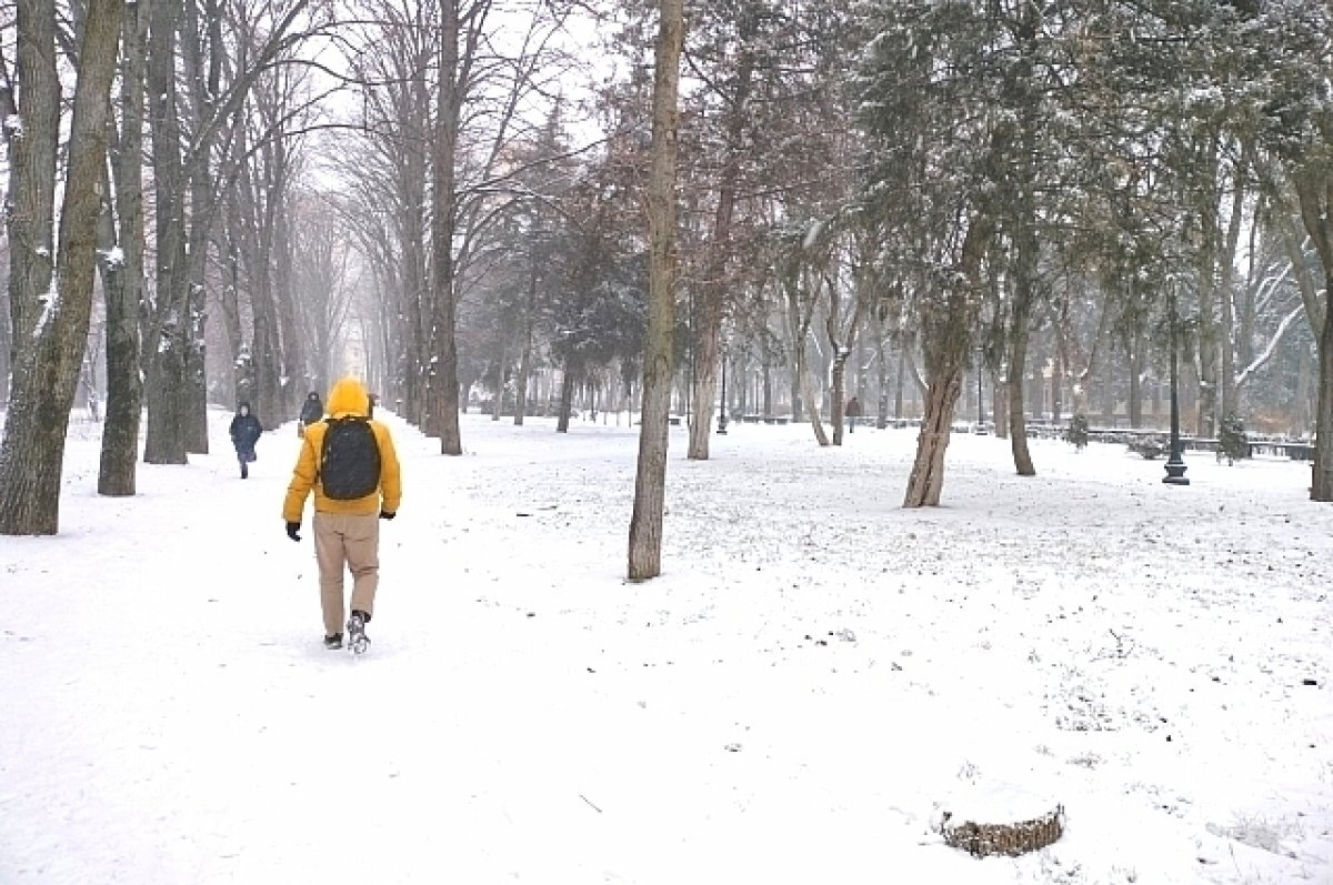    Циклон из Баренцева моря принес на Кубань снег и ветер