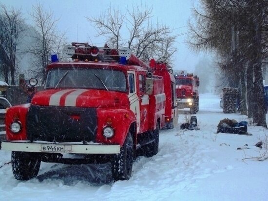     В приюте для животных Комсомольска случился пожар. ФОТО: ГУ МЧС по Хабаровскому краю