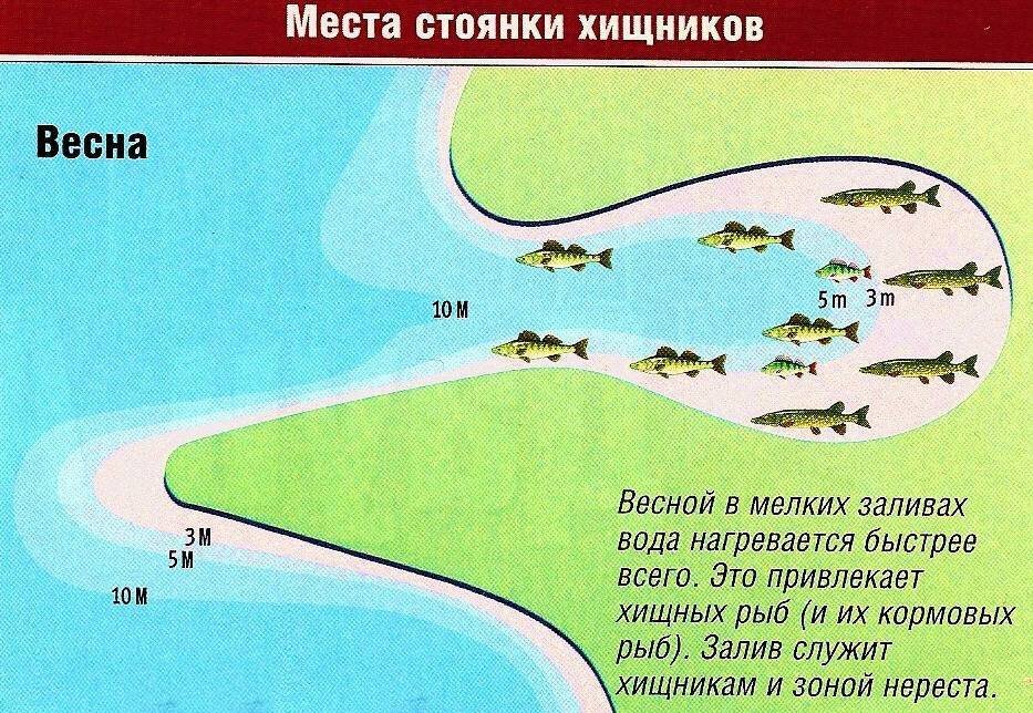 Места обитания щуки,судака. Места стоянки рыбы на реке. Места ловли щуки. Щука места стоянки.