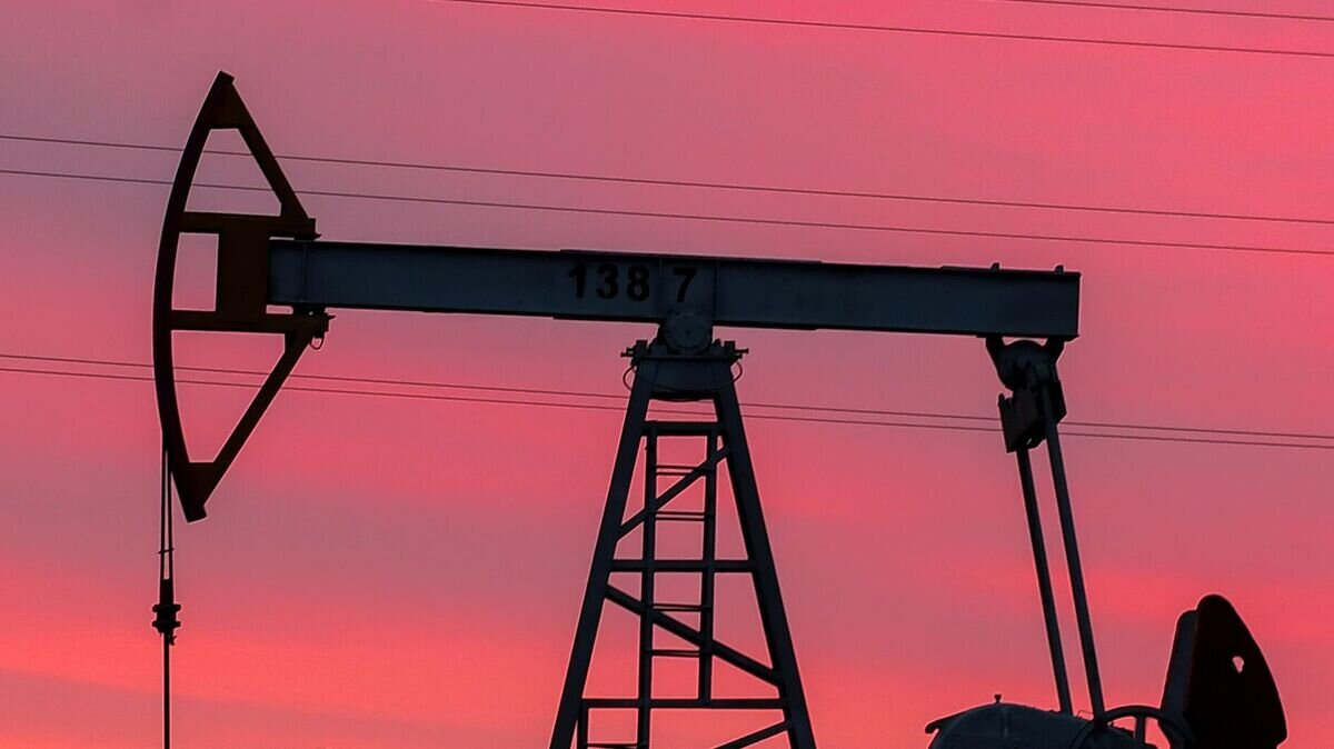   Нефтяная качалка в Республике Татарстан© РИА Новости / Максим Богодвид