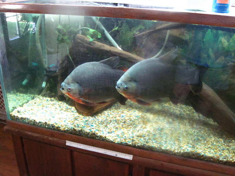 Переехали в свою квартиру! Без мам, пап и ипотек. Да, маленькая, всего на 100 литров. Зато своя! 