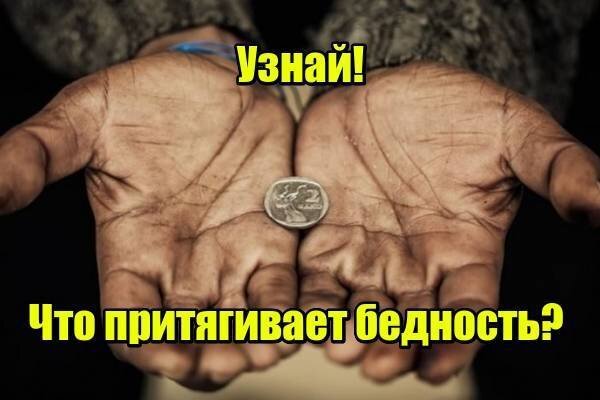 фото из свободных источников