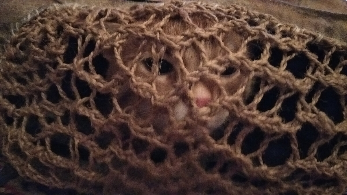 Личное    фото. 