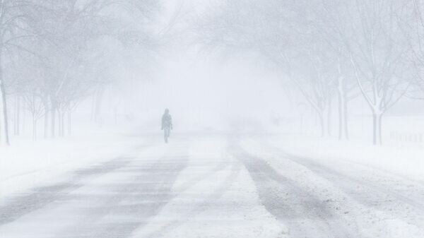    © Photo : Pixabay / Ryan Minion