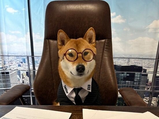     Фото: соцсети