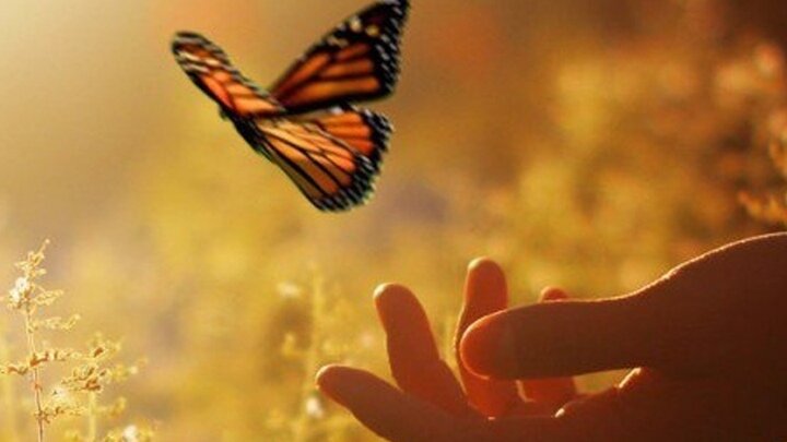 фото из интернета