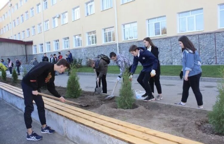 Электронный дневник 1 школа михайловск